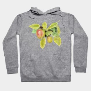 Winter Apples Hoodie